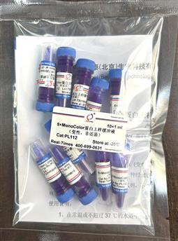 5×MonoColor 蛋白上樣緩沖液 (變性，非還原)
