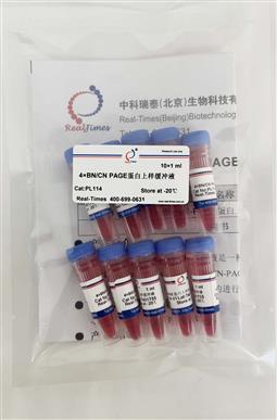 2×BN/CN-PAGE蛋白上樣緩沖液