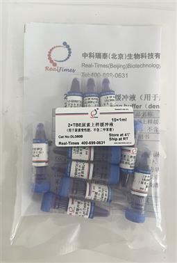 2×TBE尿素上樣緩沖液（用于尿素變性膠，不含二甲苯菁）