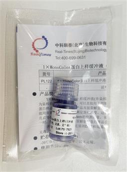 1×MonoColor蛋白上樣緩沖液 單染料（變性，還原，無氣味）