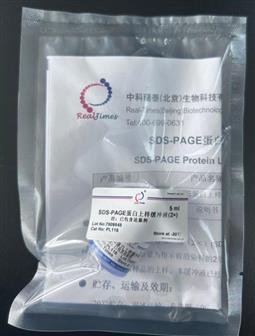 SDS-PAGE蛋白上樣緩沖液(2×)