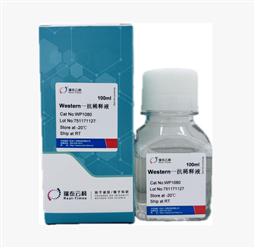 Western一抗稀釋液