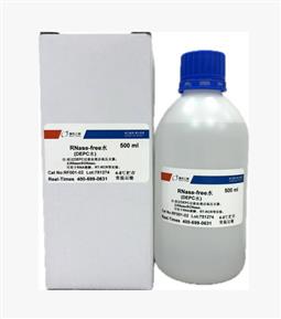 RNase-free水/DEPC水